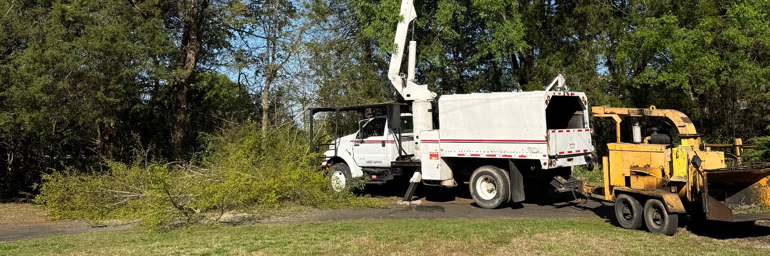 Covenant Tree Care cover photo