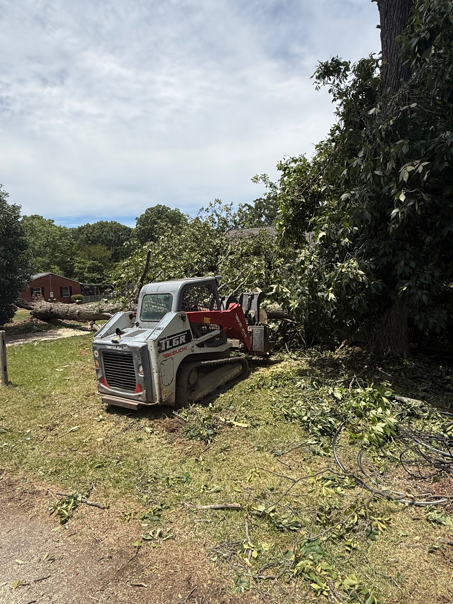 Covenant Tree Care, Tree Trimming and Removal in China Grove, NC - photo 1