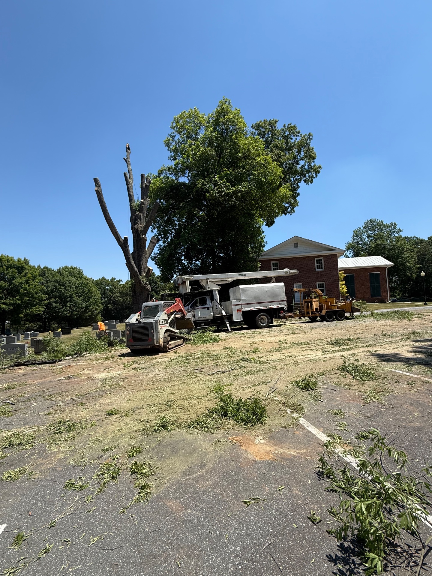 Covenant Tree Care, Tree Trimming and Removal in China Grove, NC - photo 2