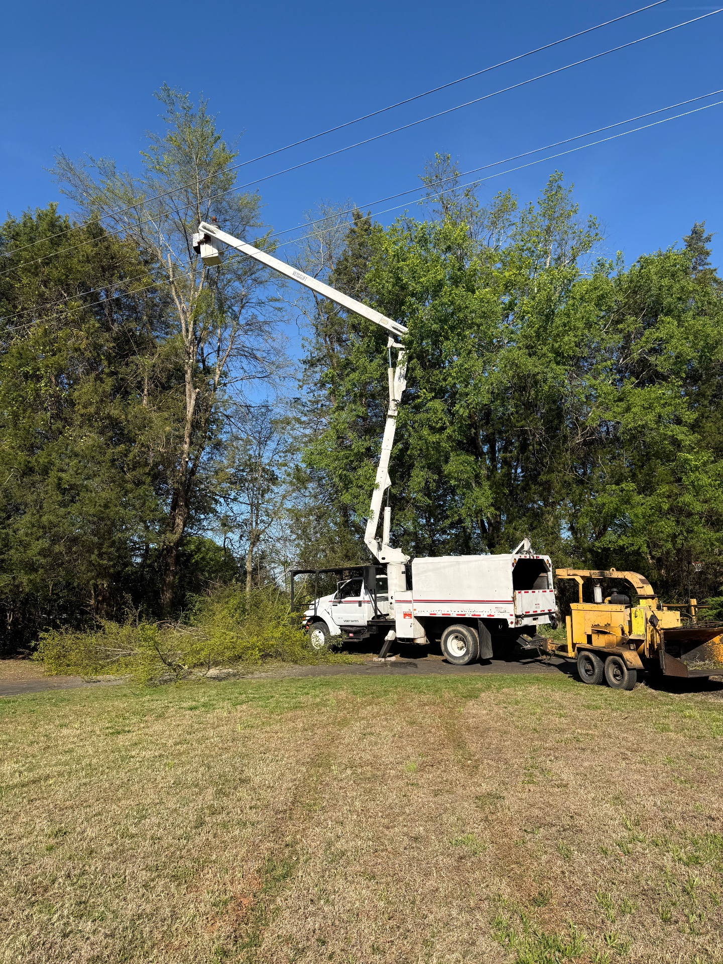 Covenant Tree Care, Tree Trimming and Removal in China Grove, NC - photo 3