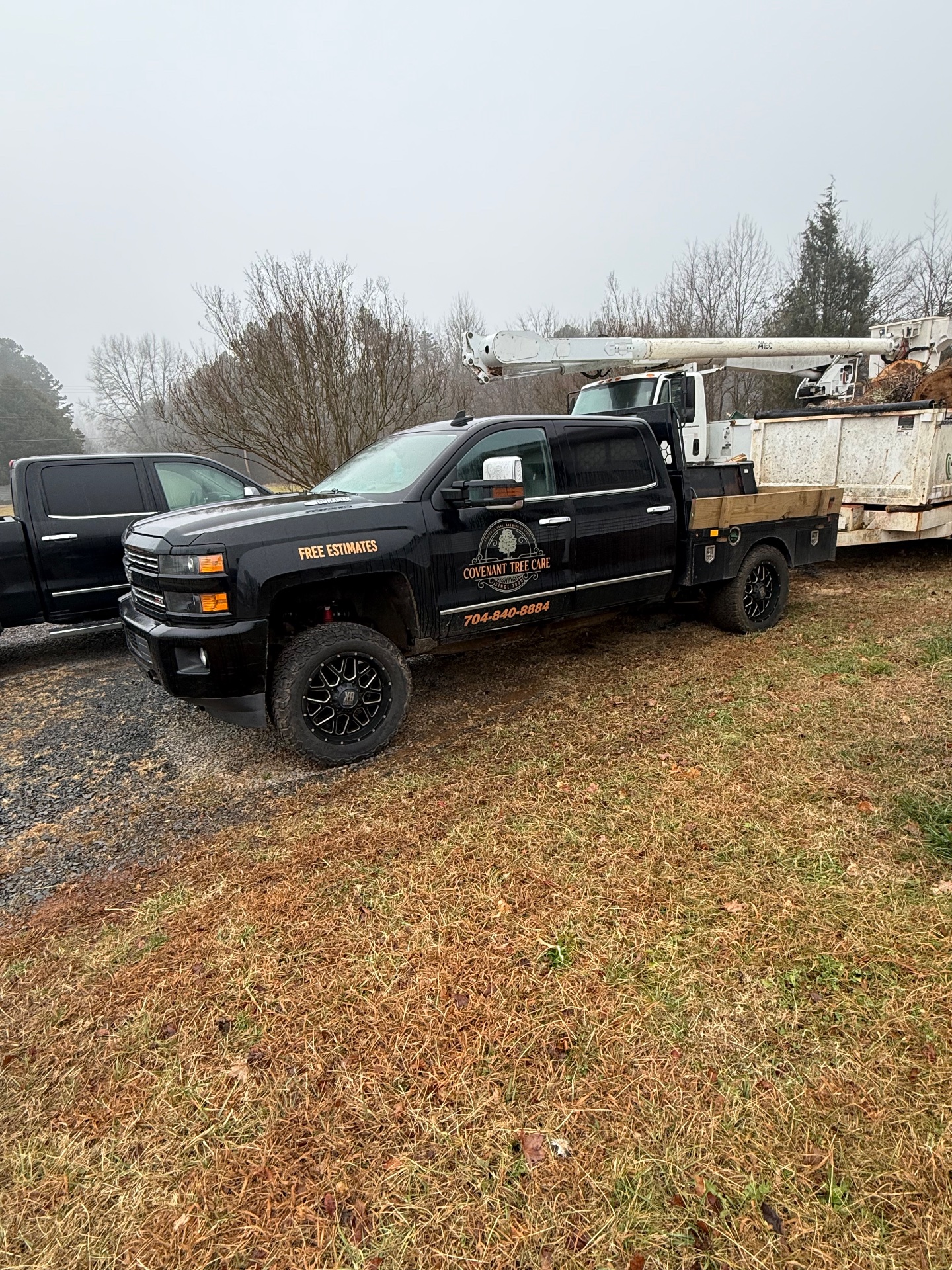 Covenant Tree Care, Tree Trimming and Removal in China Grove, NC - photo 5