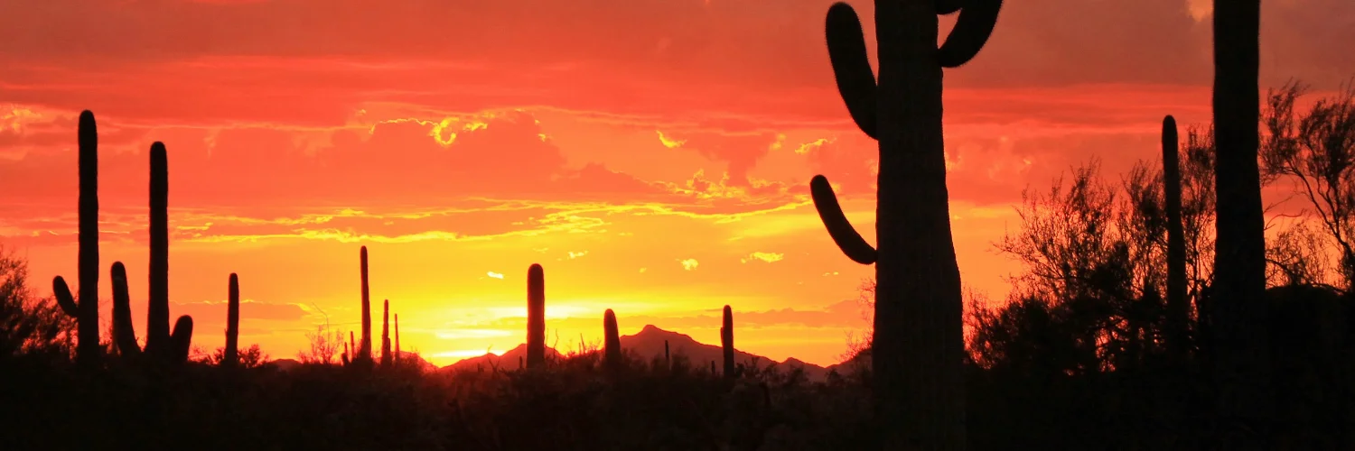 Desert Sky Design Build cover photo