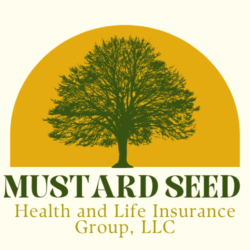 Mustard Seed Health and Life Insurance Group, LLC, Health Insurance Services in Valley View, TX - photo 1