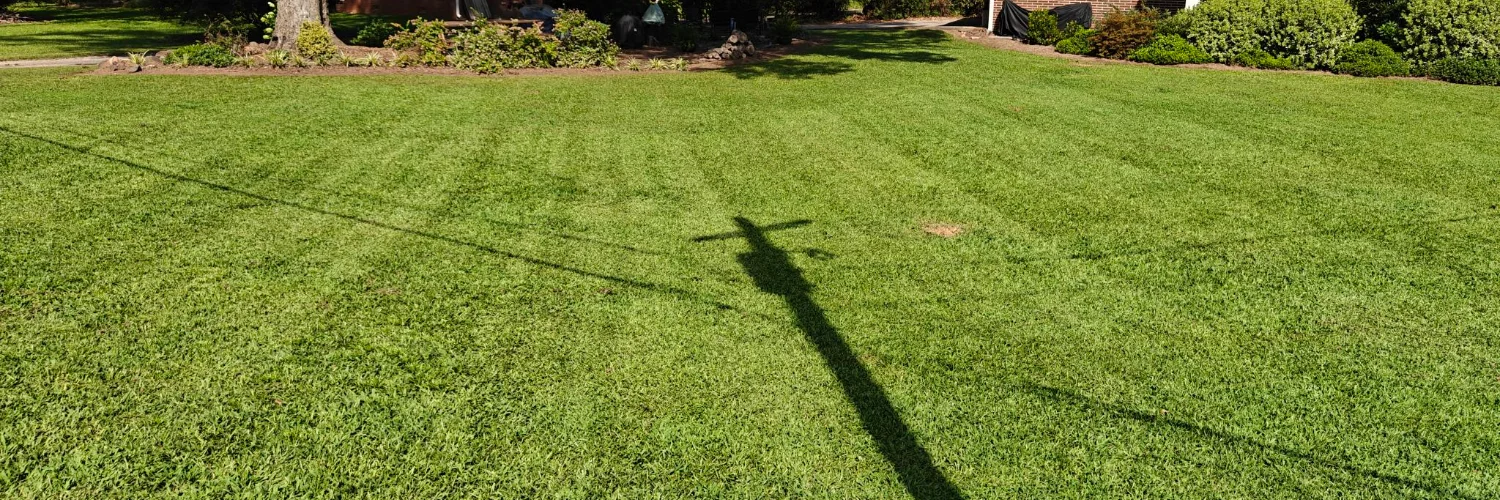 Heavenly Cuts Lawn Care cover photo