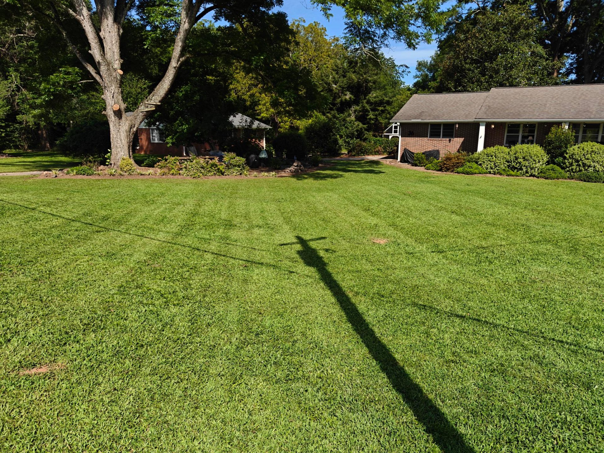 Heavenly Cuts Lawn Care, Lawn Services in Arnoldsville, GA - photo 2