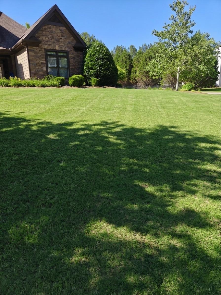 Heavenly Cuts Lawn Care, Lawn Services in Arnoldsville, GA - photo 3