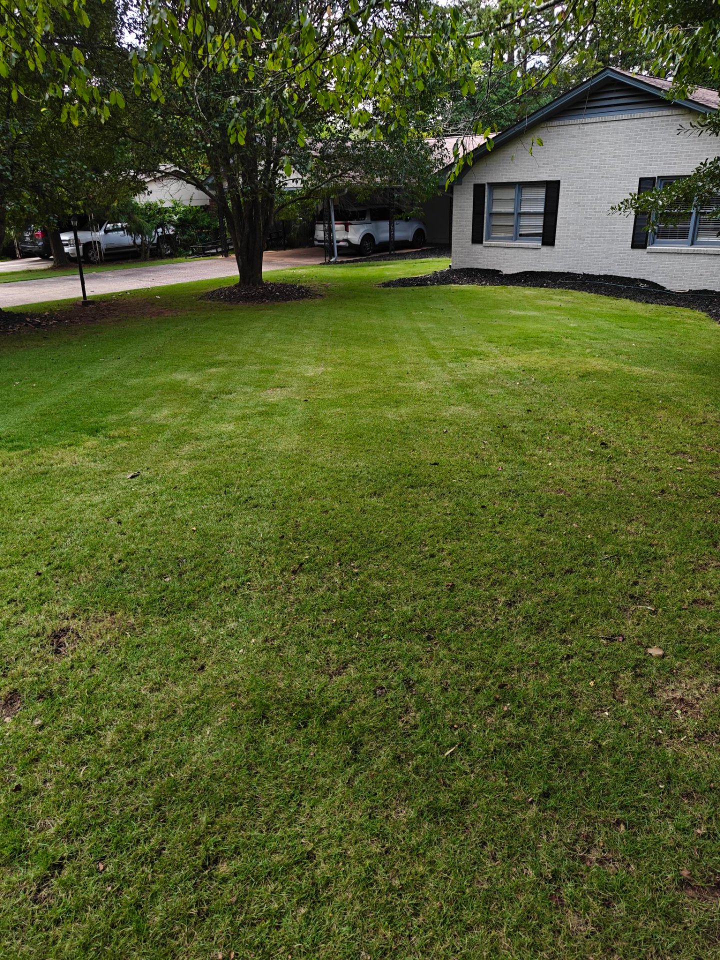 Heavenly Cuts Lawn Care, Lawn Services in Arnoldsville, GA - photo 5