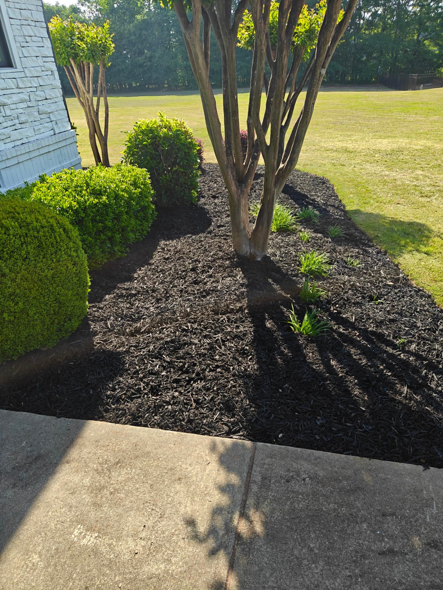 Heavenly Cuts Lawn Care, Lawn Services in Arnoldsville, GA - photo 6