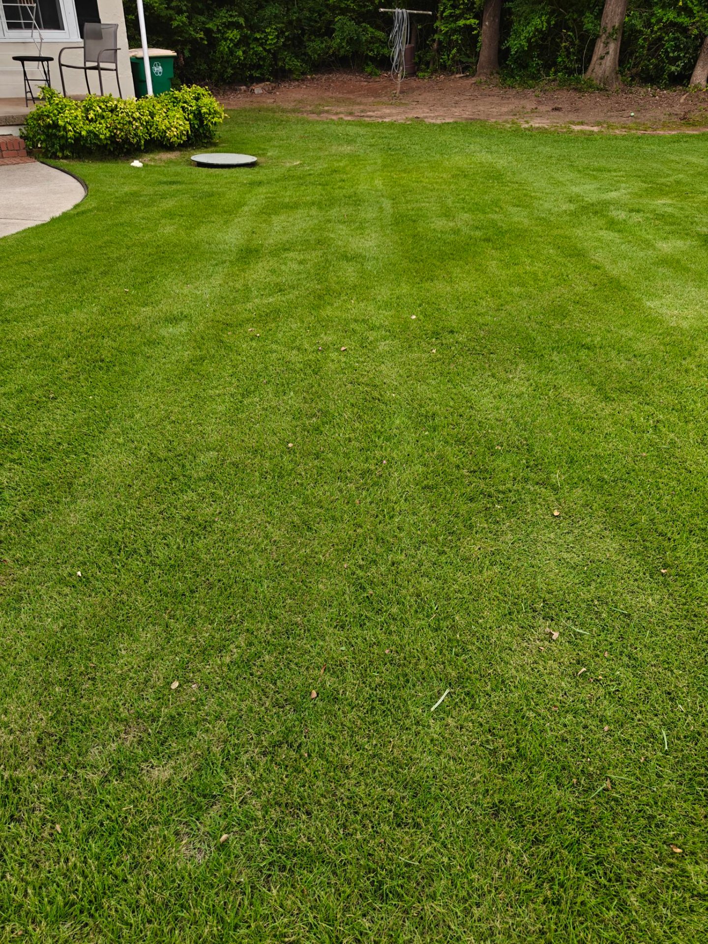 Heavenly Cuts Lawn Care, Lawn Services in Arnoldsville, GA - photo 7