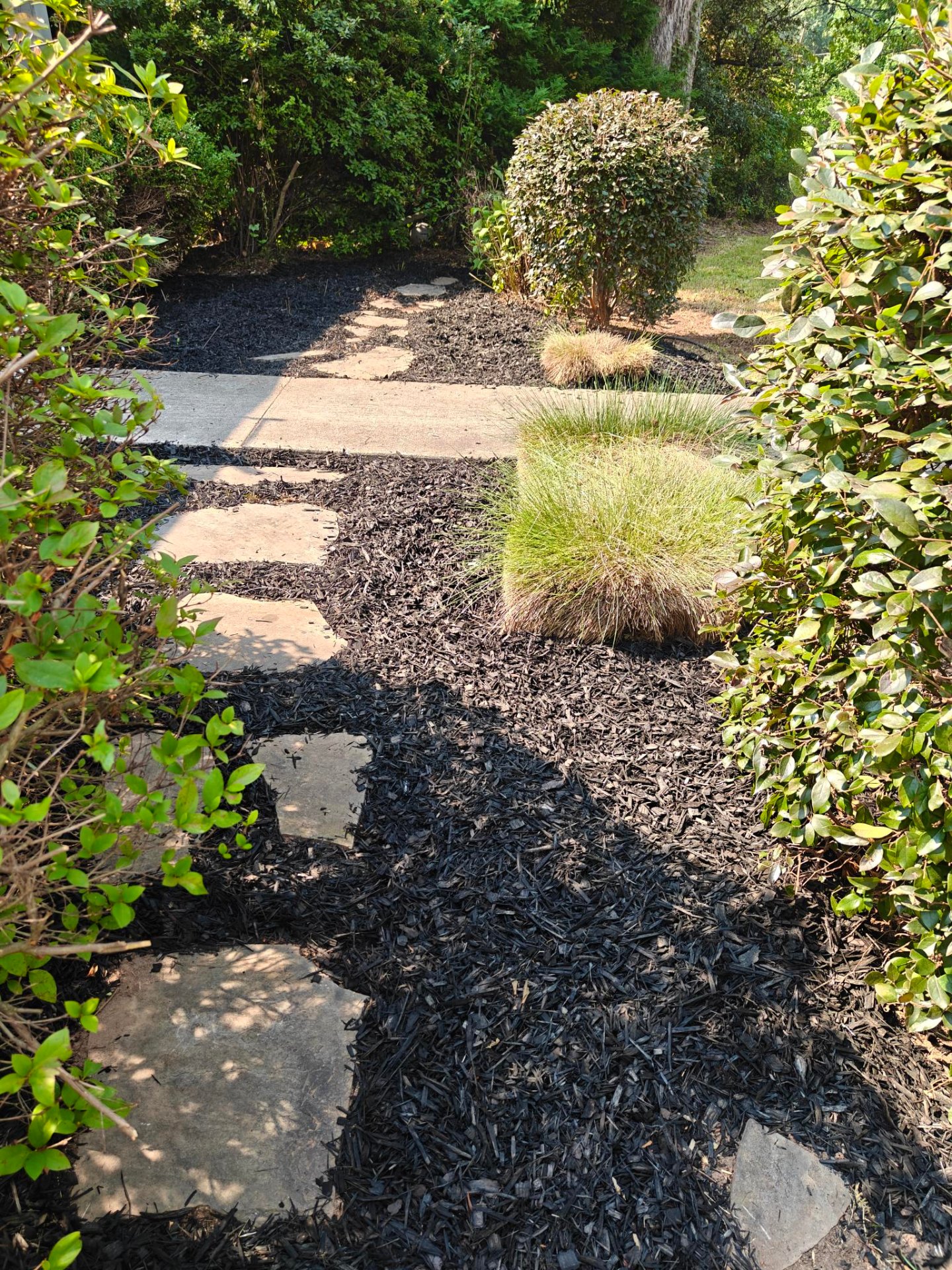 Heavenly Cuts Lawn Care, Lawn Services in Arnoldsville, GA - photo 8