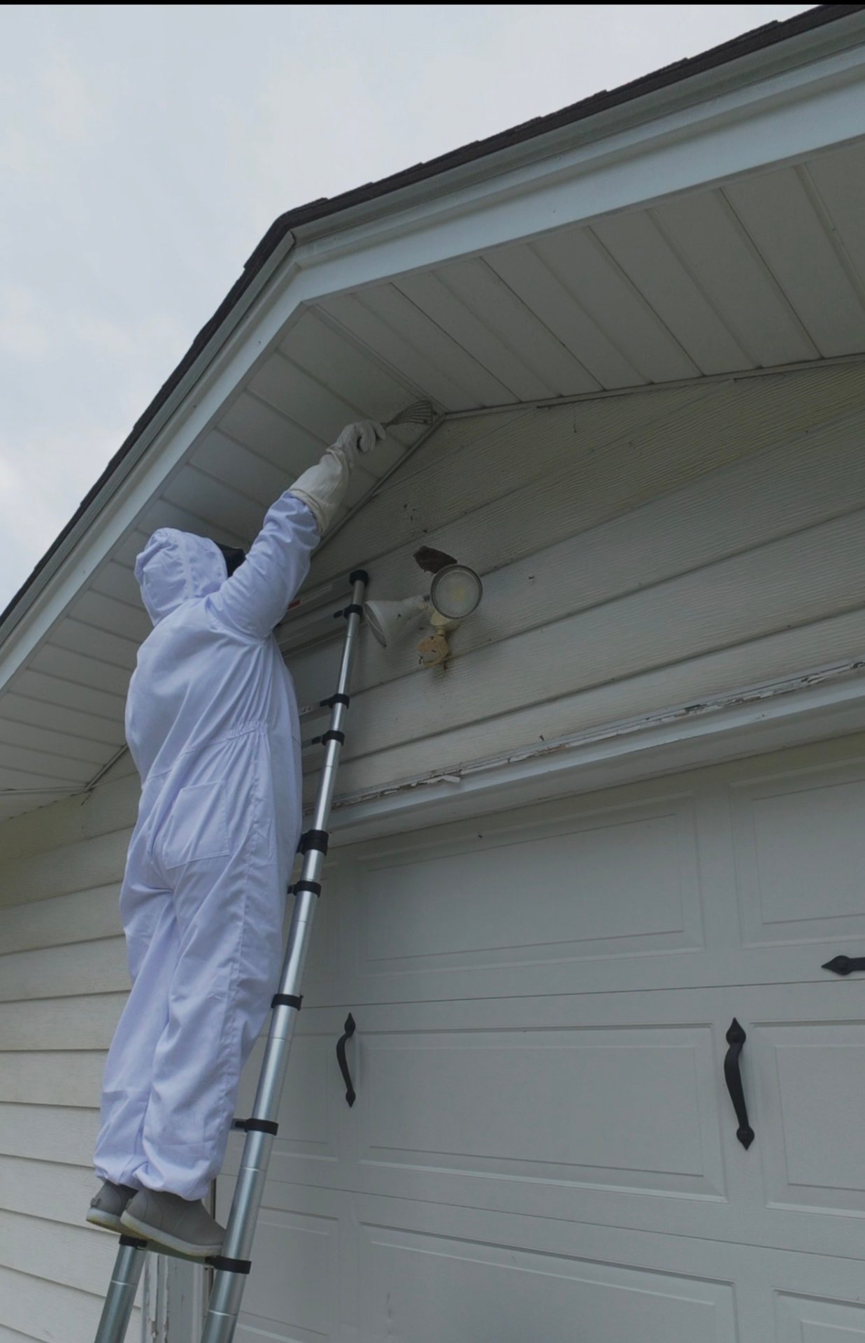 Mission Pest Control, Pest Control Services in Omaha, NE - photo 3