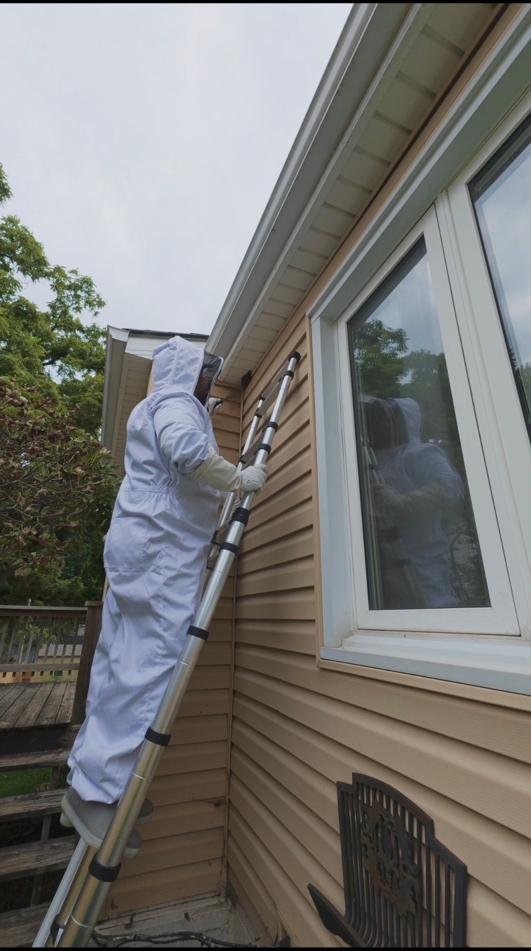 Mission Pest Control, Pest Control Services in Omaha, NE - photo 5