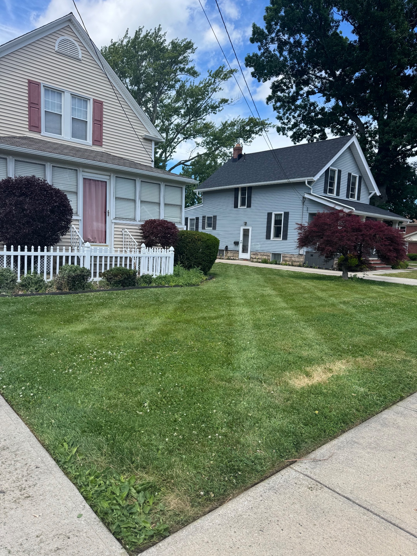 Hover Lawn Care LLC, Lawn Mowing and Trimming in Rocky River, OH - photo 3