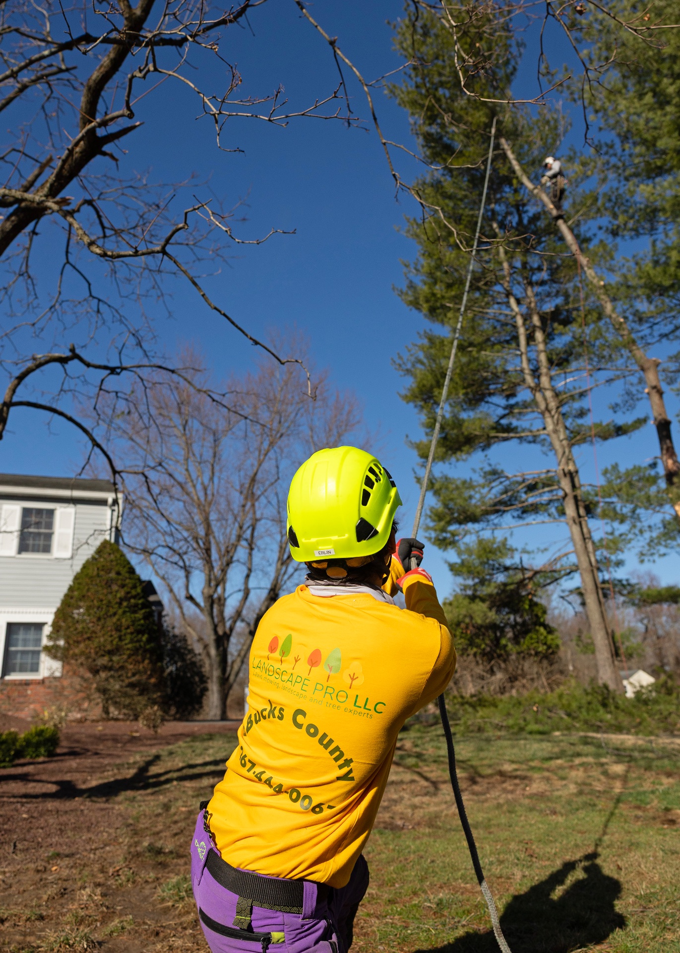 Landscape PRO LLC, Outdoor Landscaping and Design in Perkasie, PA - photo 8