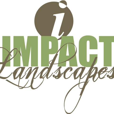 Impact Landscapes