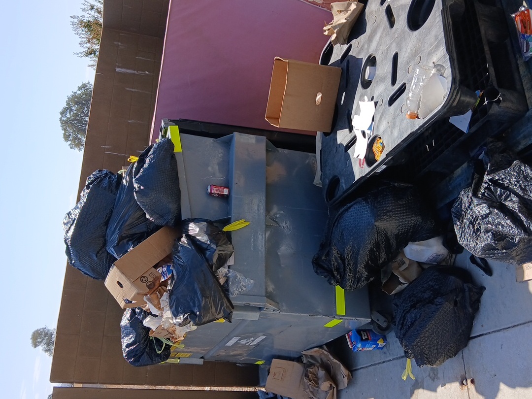 Haul-lelujah junk removal, Residential Junk Removal in Reedley, CA - photo 4
