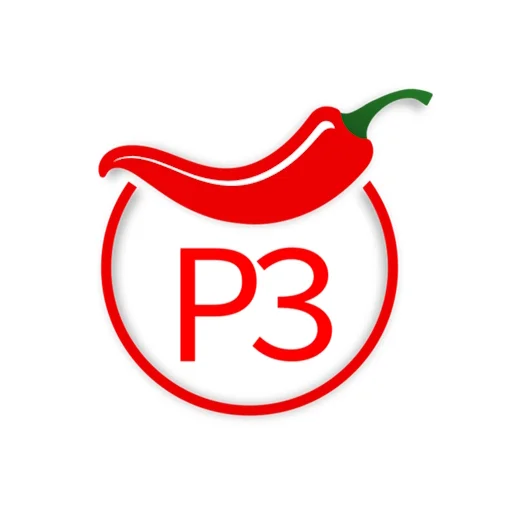 P3 Technologies logo