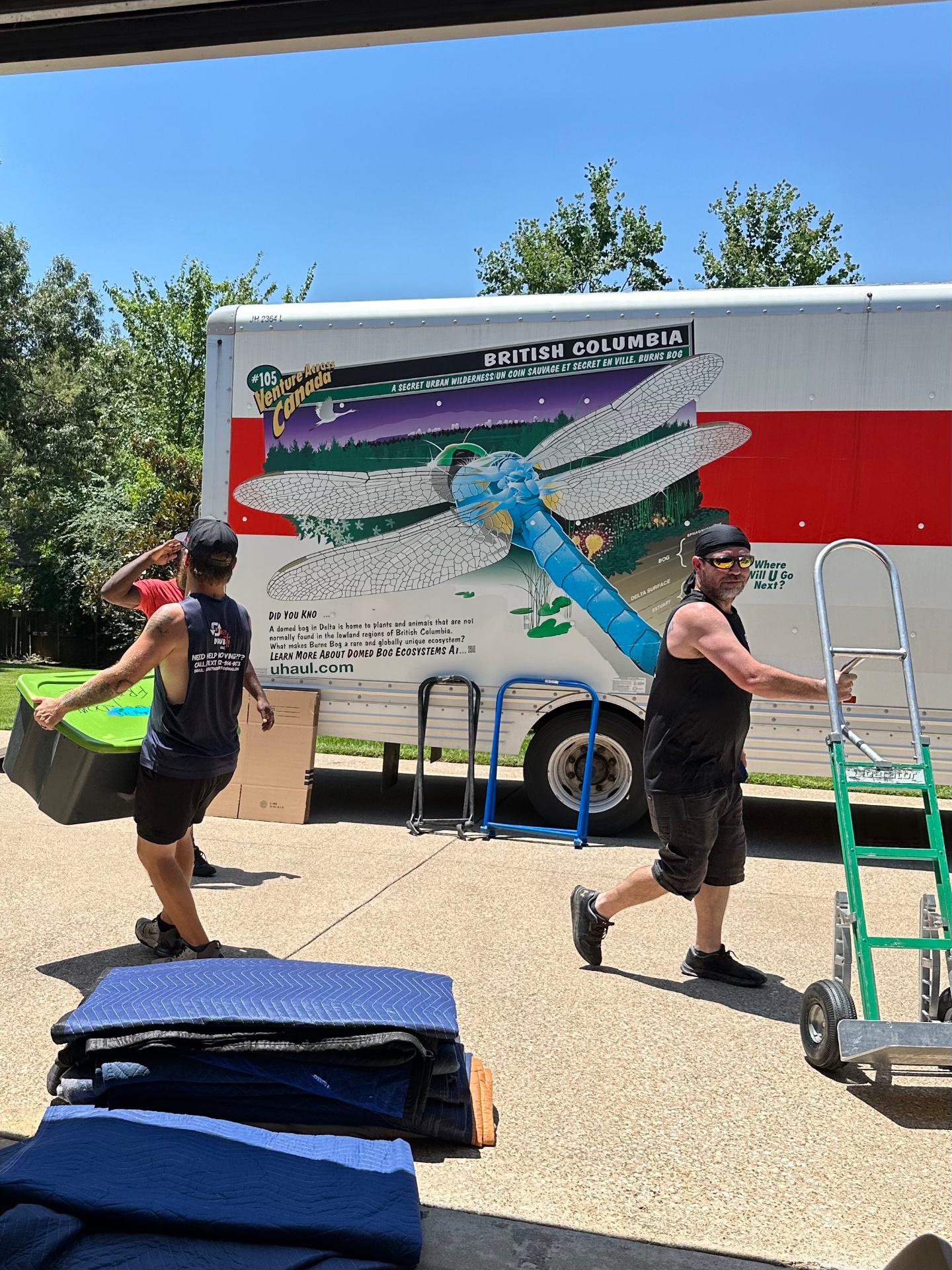 In & Out No Doubt Moving, Furniture Delivery in Mabank, TX - photo 4