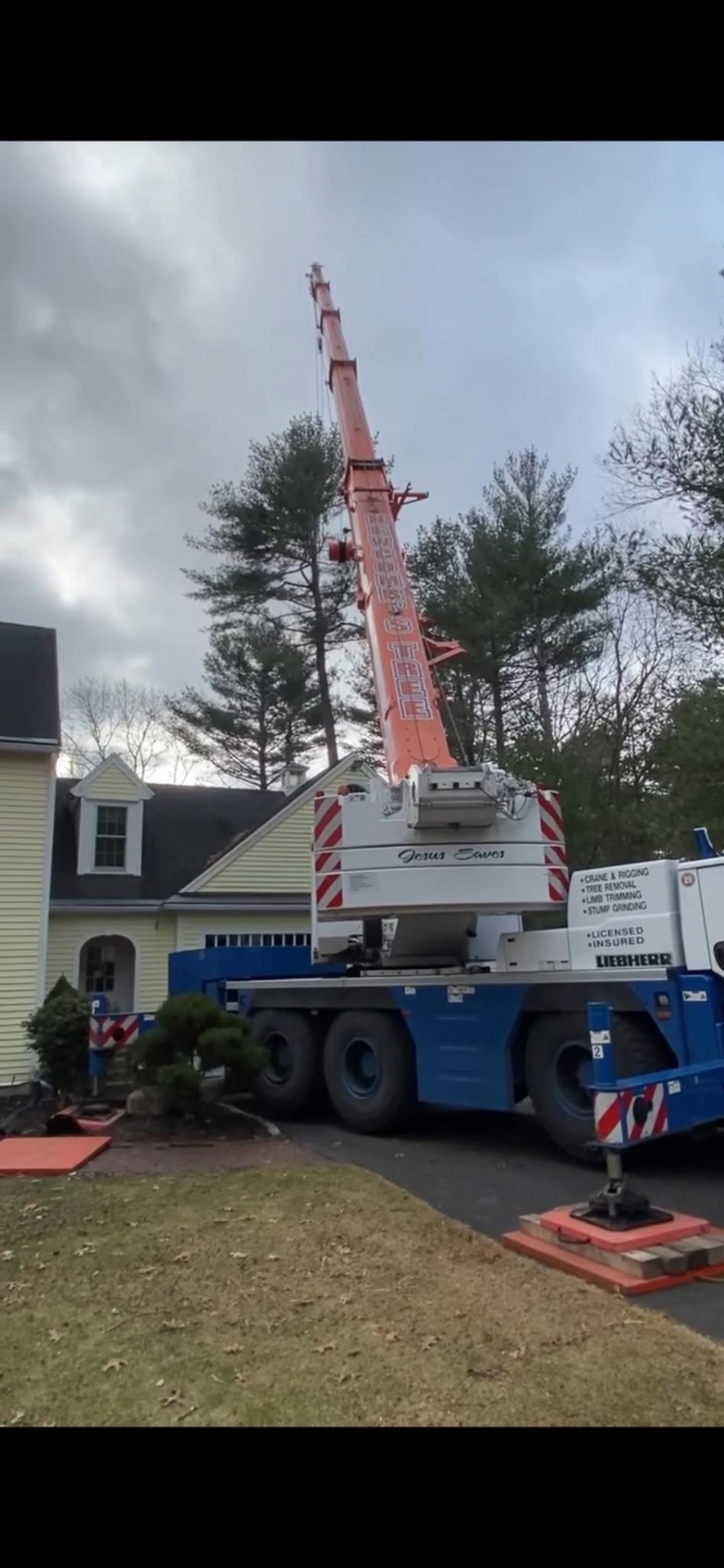 Newcombs Tree service LLC, Tree Services in Halifax, MA - photo 3