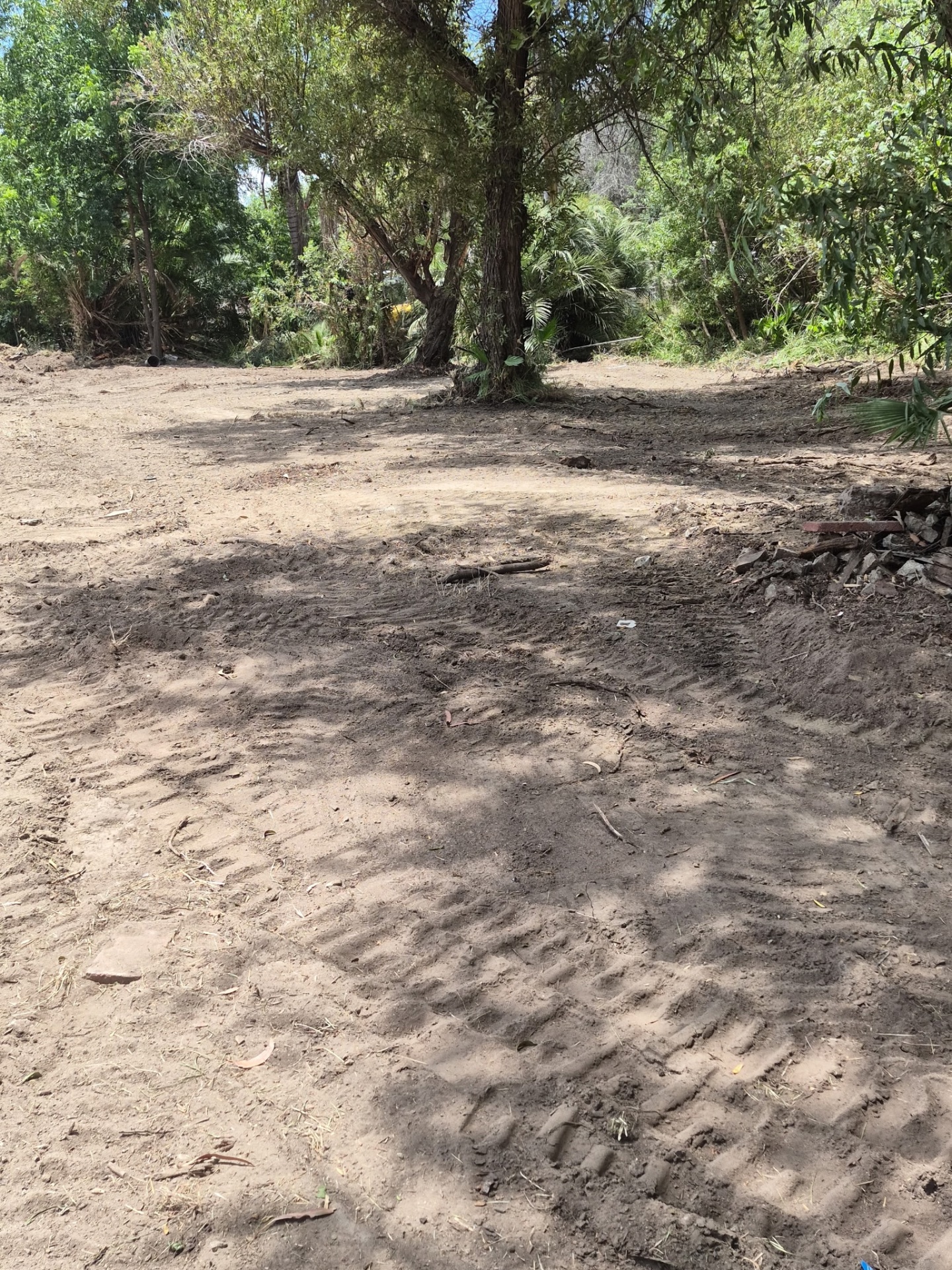 San Diego Weed Mowing, Land Clearing in Fallbrook - photo 1