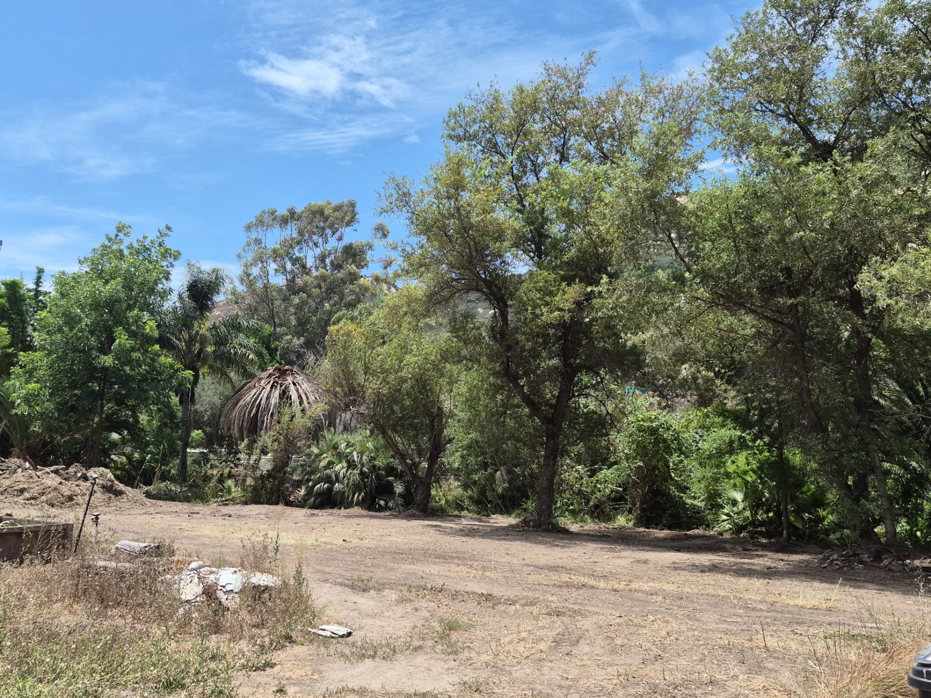 San Diego Weed Mowing, Land Clearing in Fallbrook - photo 2