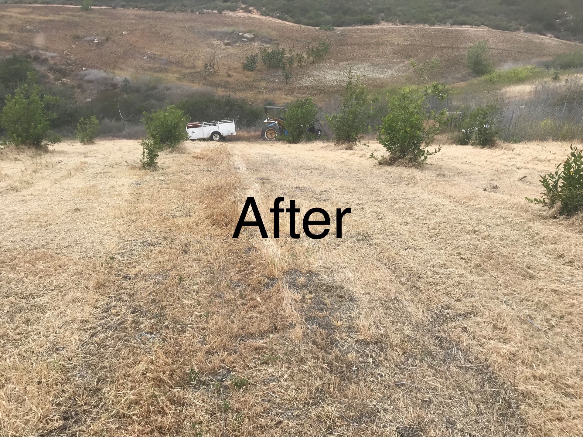 San Diego Weed Mowing, Land Clearing in Fallbrook - photo 8