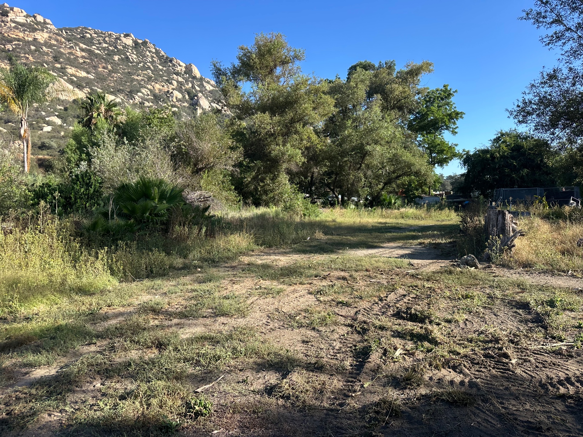 San Diego Weed Mowing, Land Clearing in Fallbrook - photo 4