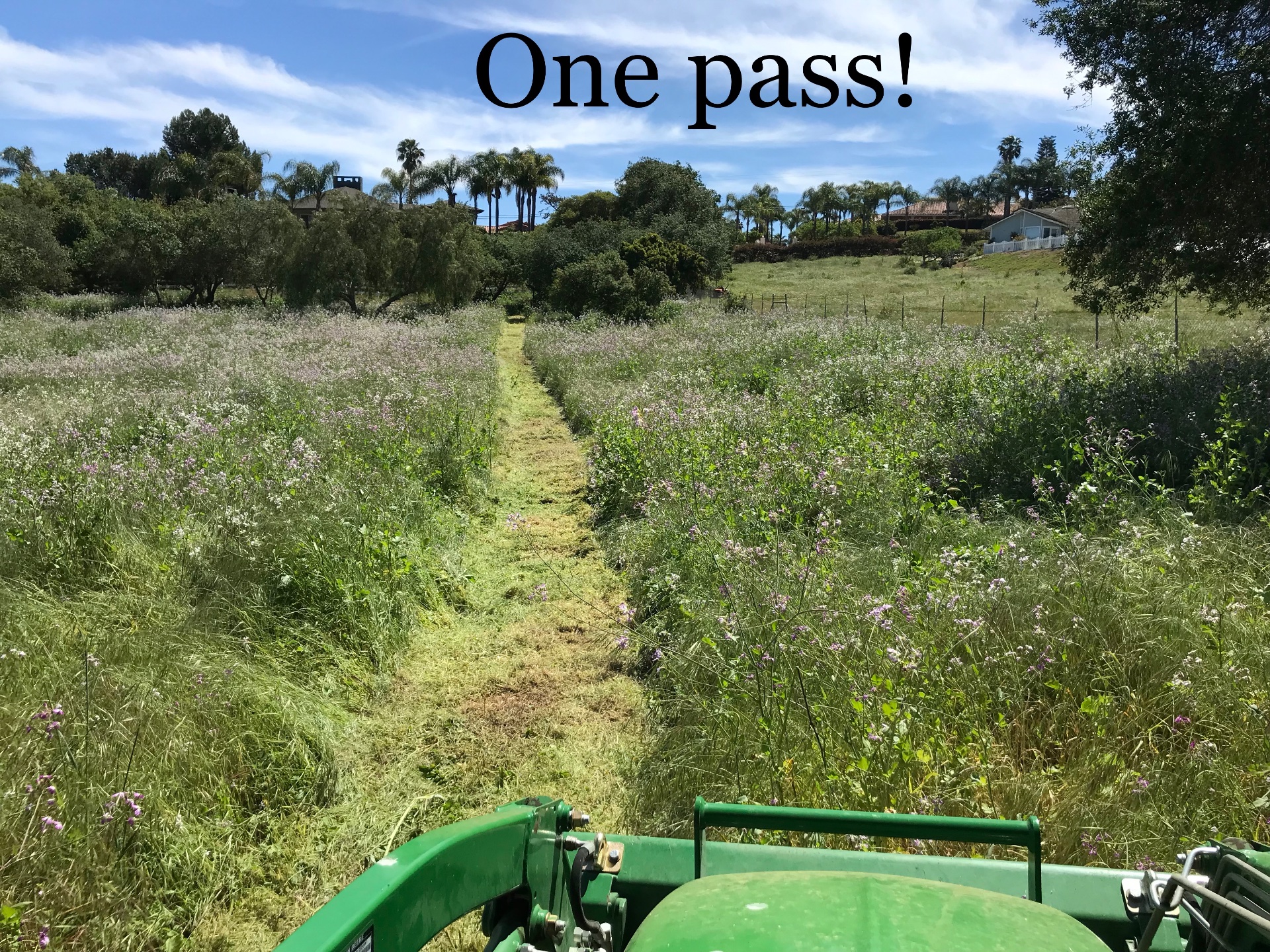 San Diego Weed Mowing, Land Clearing in Fallbrook - photo 5