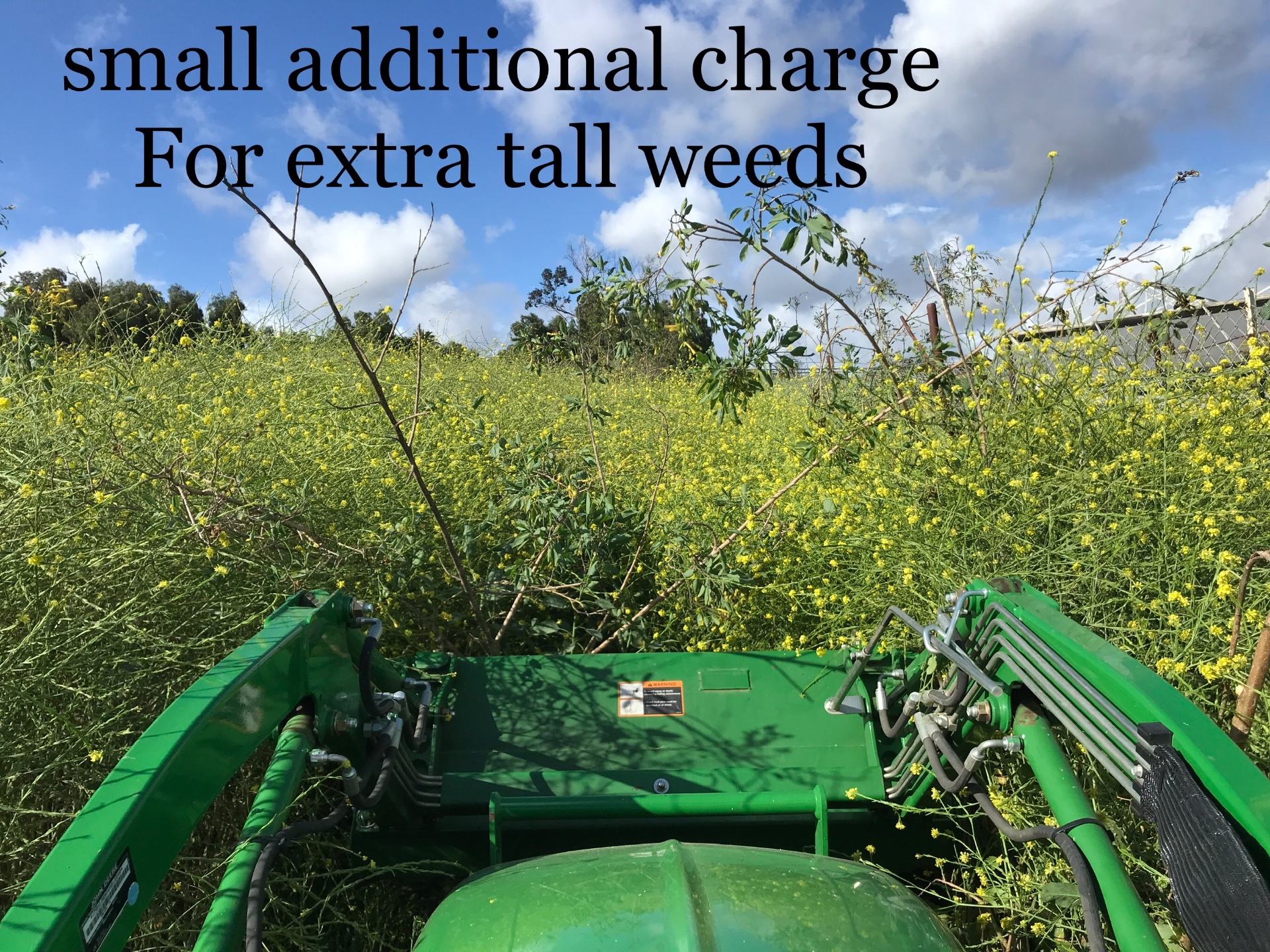 San Diego Weed Mowing, Land Clearing in Fallbrook - photo 6