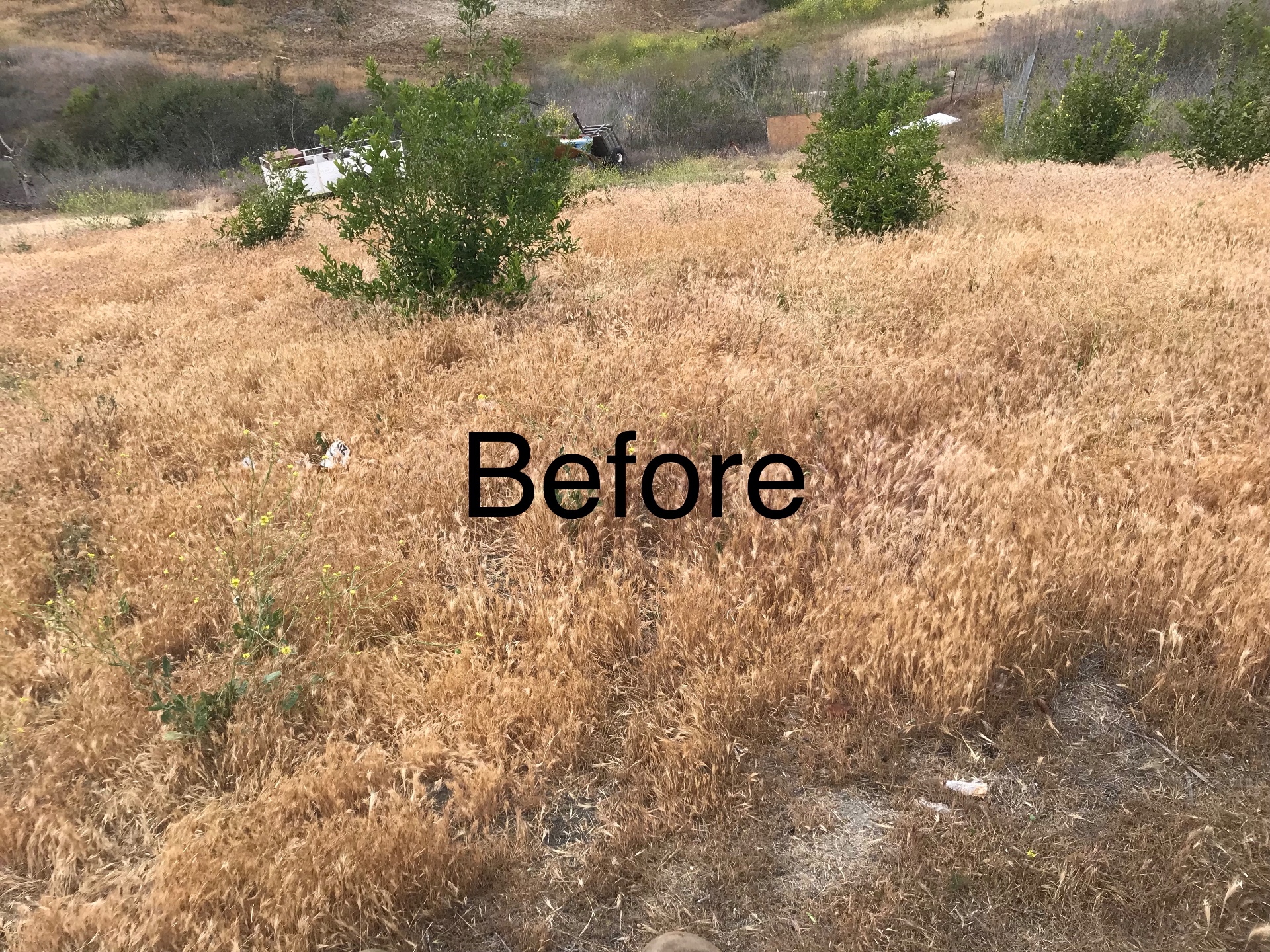 San Diego Weed Mowing, Land Clearing in Fallbrook - photo 7