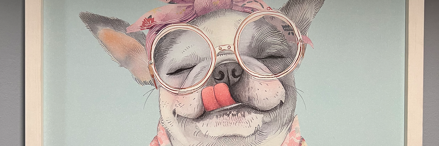 Barks n Meows cover photo