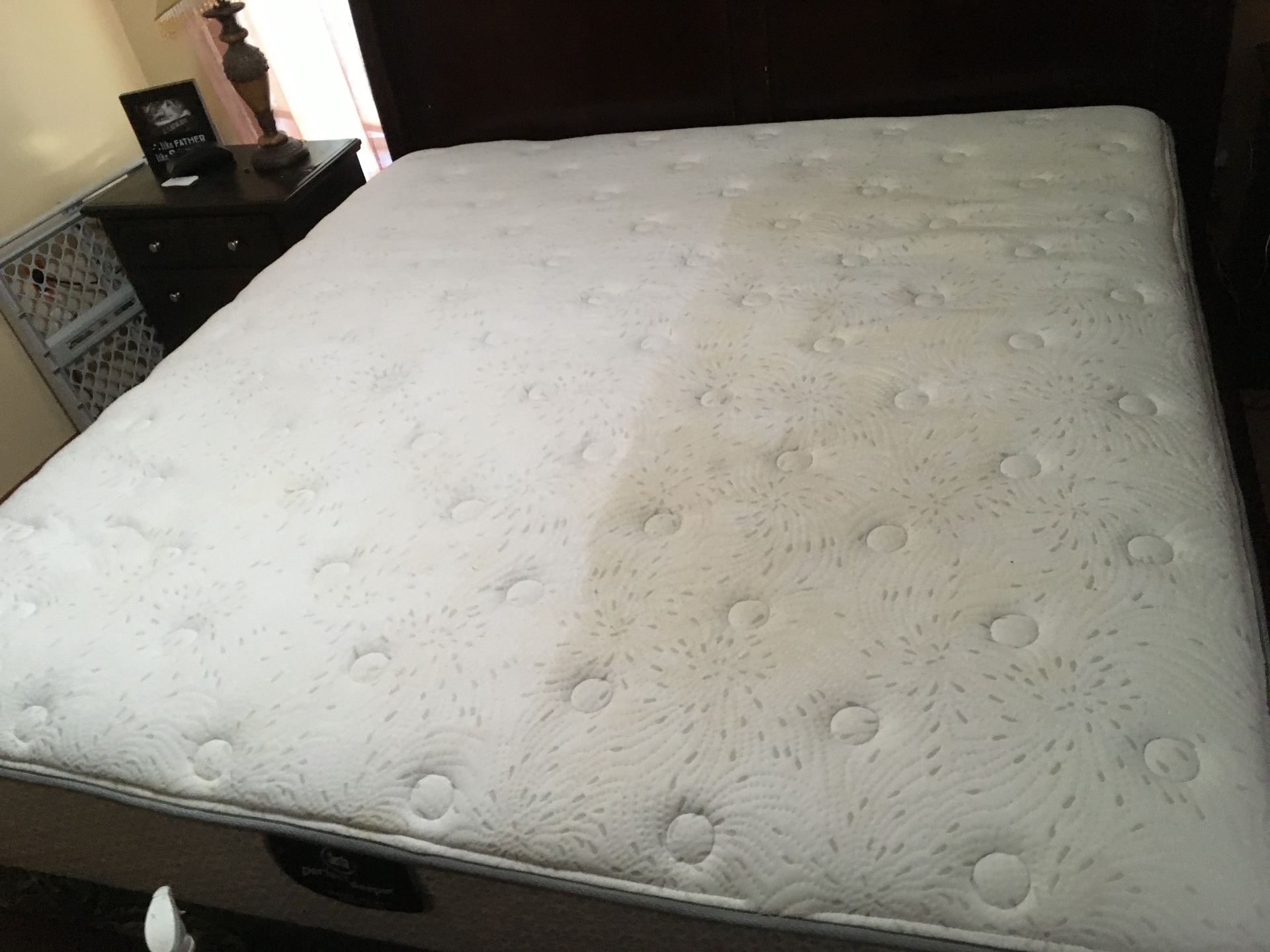 Steam Masters Inc., Carpet Cleaning in Highland Mills, NY - photo 8