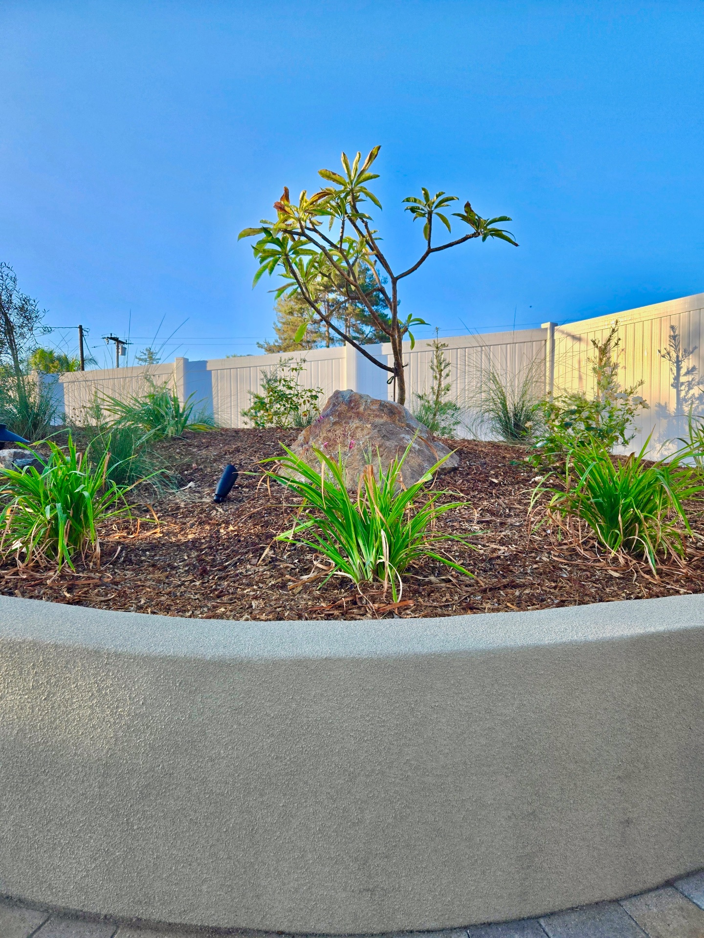 Colorworks Landscape Design, Inc., Artificial Turf in Huntington Beach, CA - photo 3