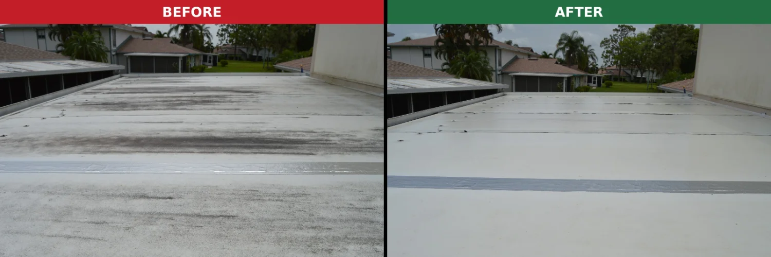 Water is Wild Pressure Washing LLC cover photo