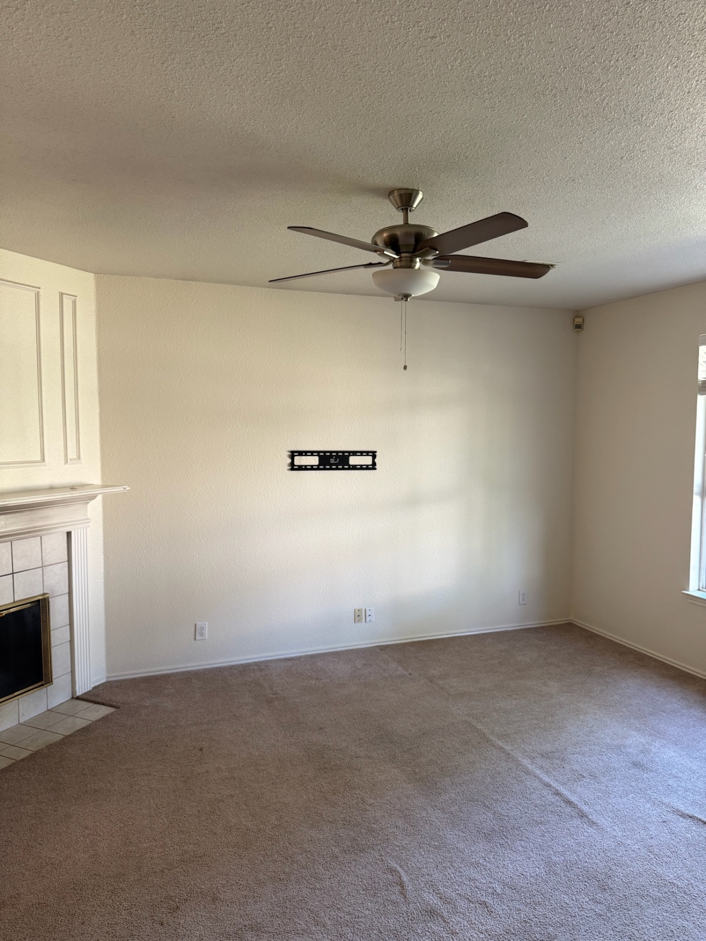 Dye Renovations, Picture Hanging and Art Installation in St. Hedwig, TX - photo 5