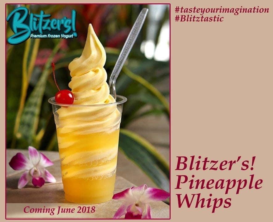 Blitzer’s Premium Frozen Yogurt, Acai Bowls in Menifee, CA - photo 5