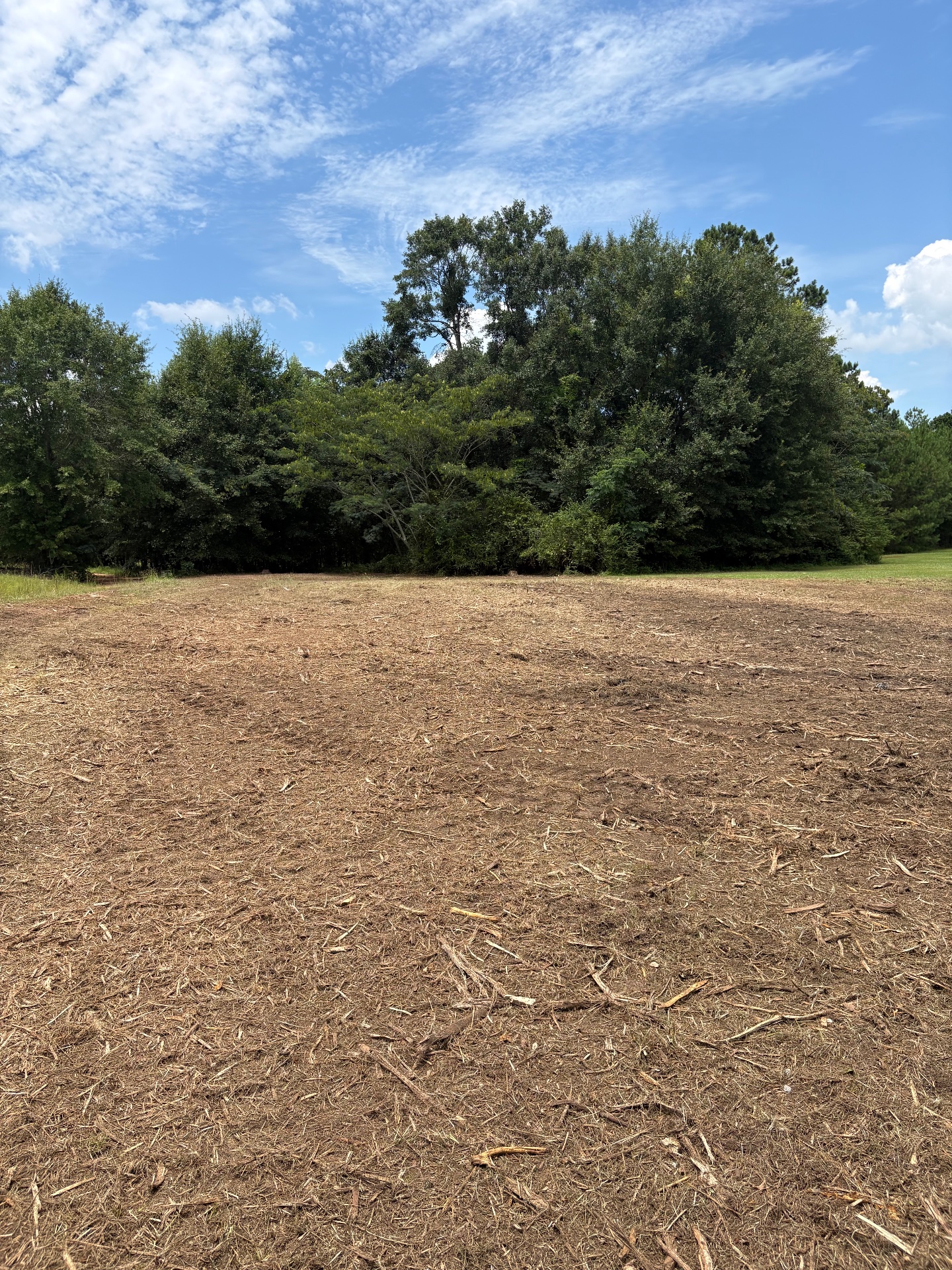 Big Pine Farming Co, Demolition Services in Abbeville, AL - photo 7