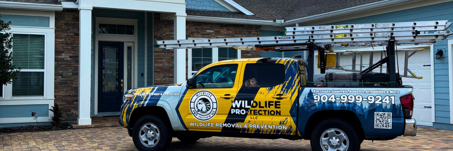 Wildlife Pro-Tection, LLC cover photo