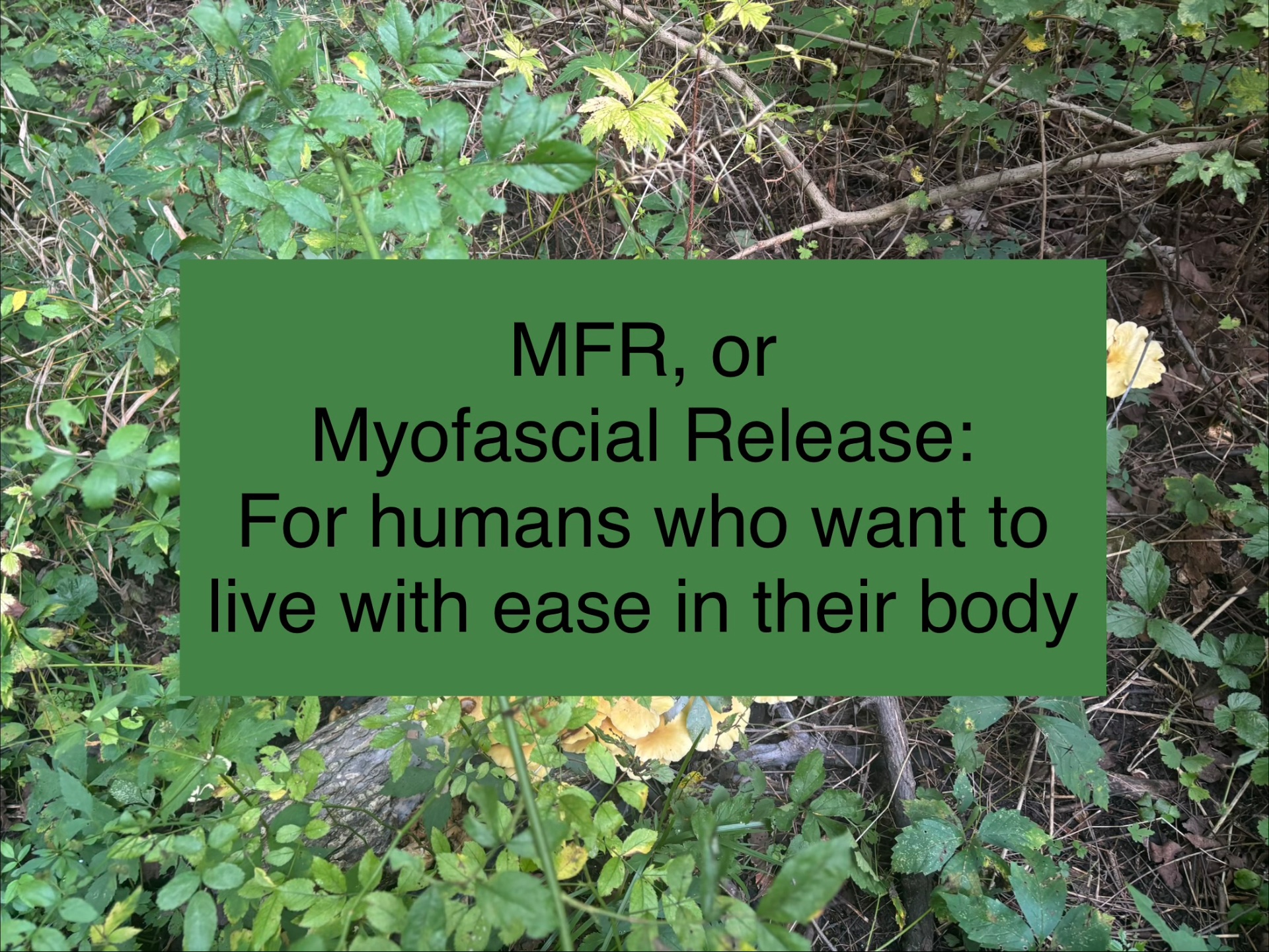 Fort Wayne MFR, Massage Therapy in Fort Wayne, IN - photo 2
