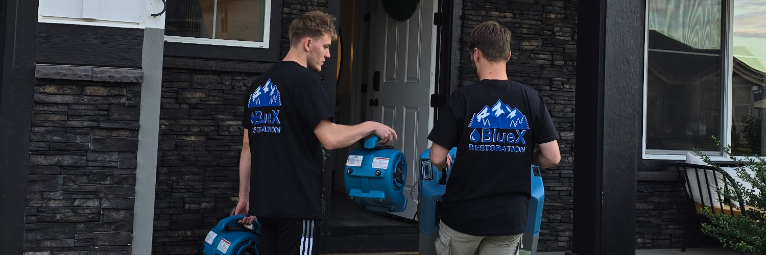 BlueX restoration, LLC cover photo