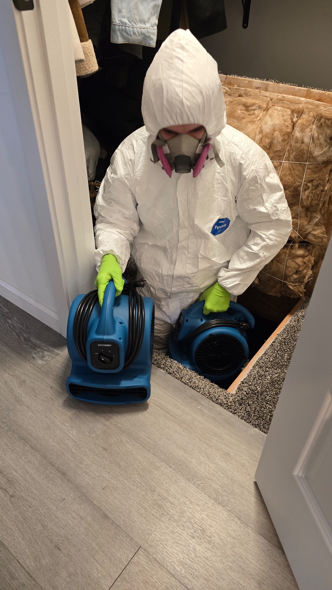BlueX restoration, LLC, Water Damage Cleanup and Restoration in Vancouver, WA - photo 1