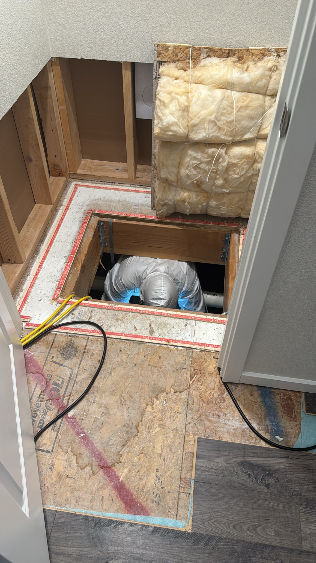 BlueX restoration, LLC, Water Damage Cleanup and Restoration in Vancouver, WA - photo 7