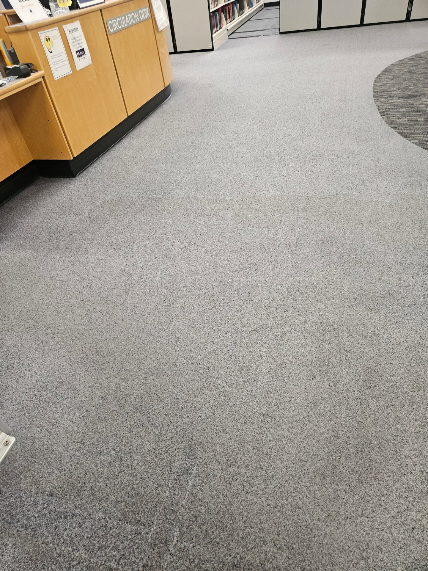 Streak Free Cleaning Solutions, Soft Washing in Greenville, NC - photo 3