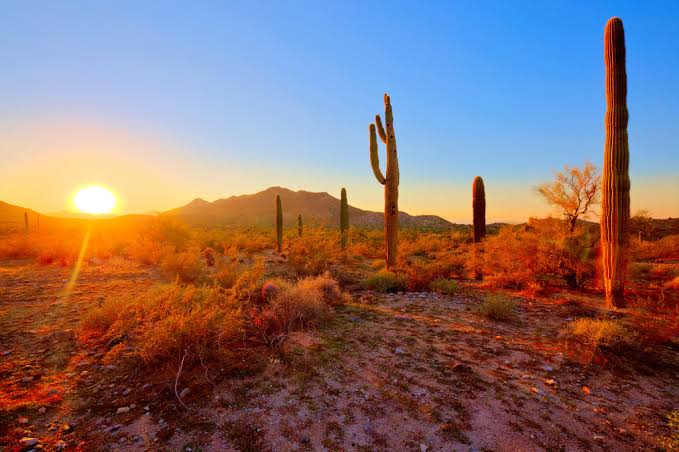 The Grandon Group, Luxury Real Estate Agents in Cave Creek, AZ - photo 5