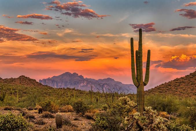 The Grandon Group, Luxury Real Estate Agents in Cave Creek, AZ - photo 6