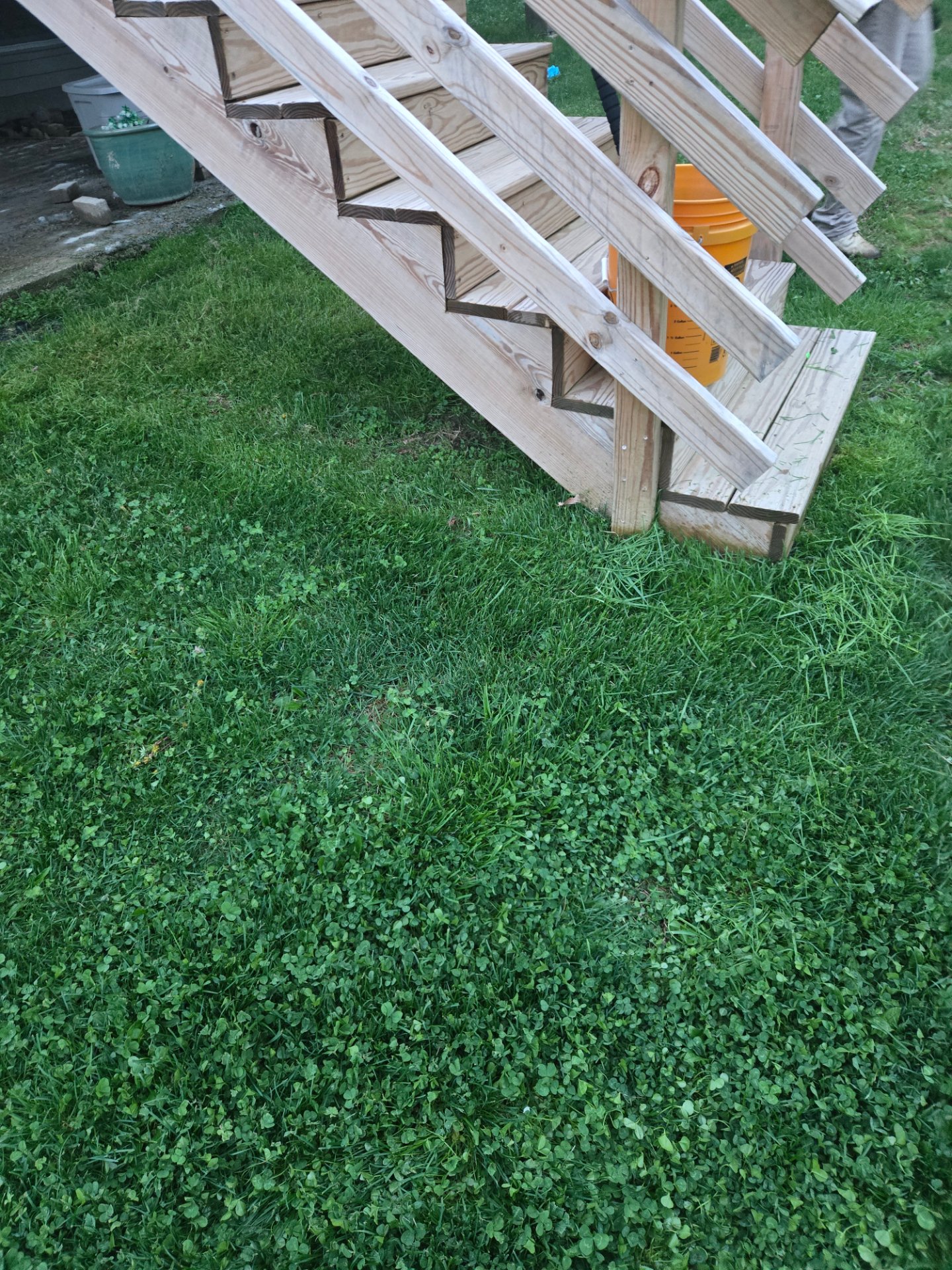 Seasonal Shine, LLC, Full Service Lawn Care in Florence, KY - photo 1