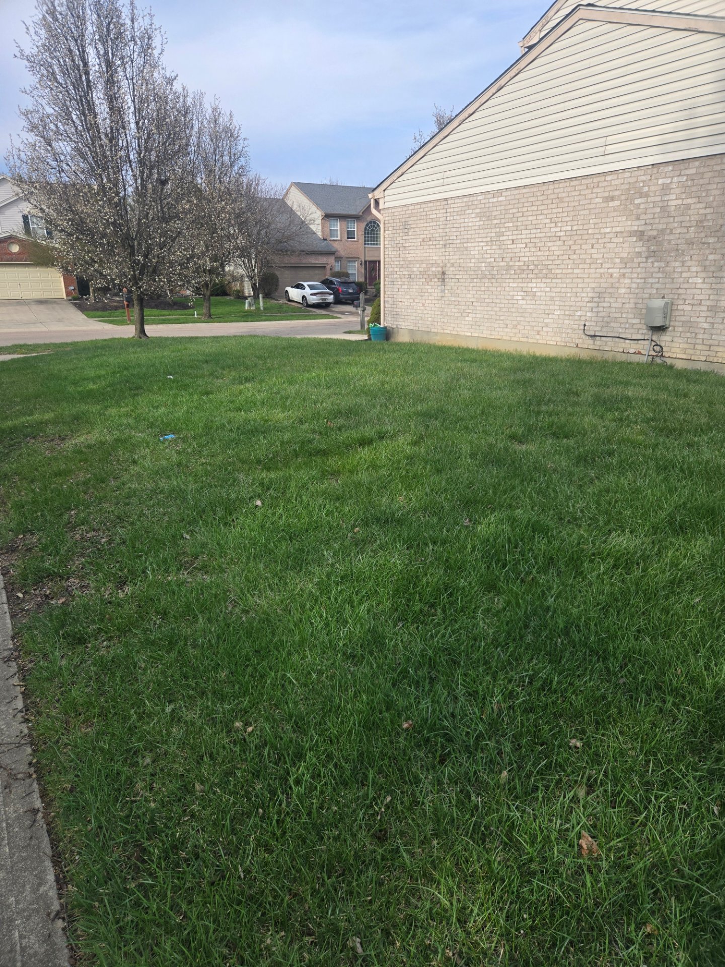 Seasonal Shine, LLC, Full Service Lawn Care in Florence, KY - photo 2
