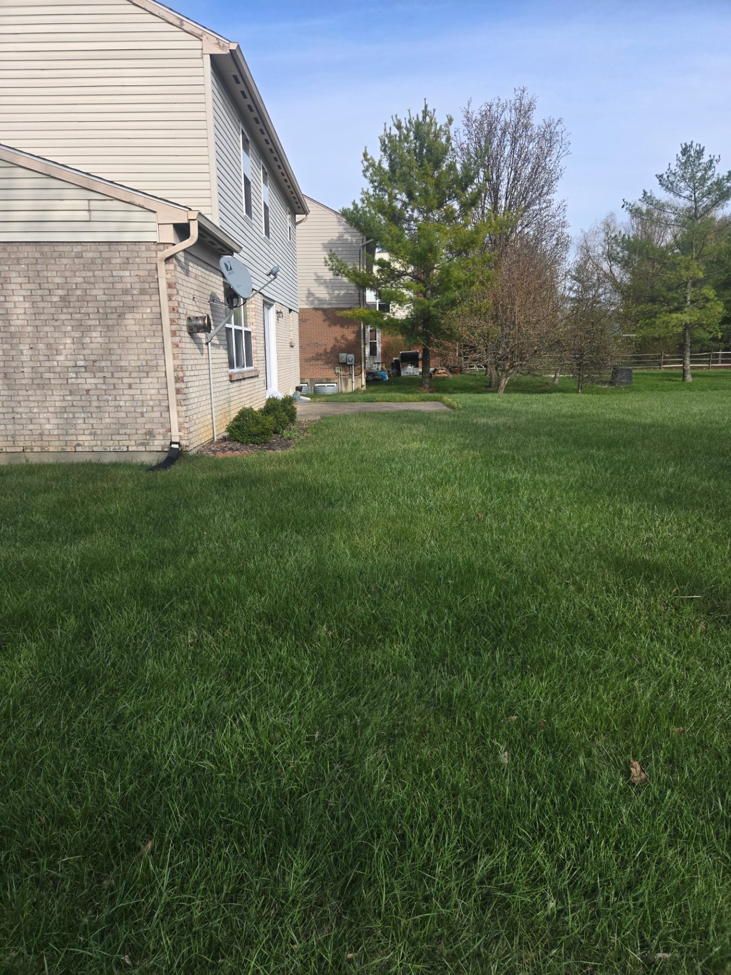 Seasonal Shine, LLC, Full Service Lawn Care in Florence, KY - photo 5