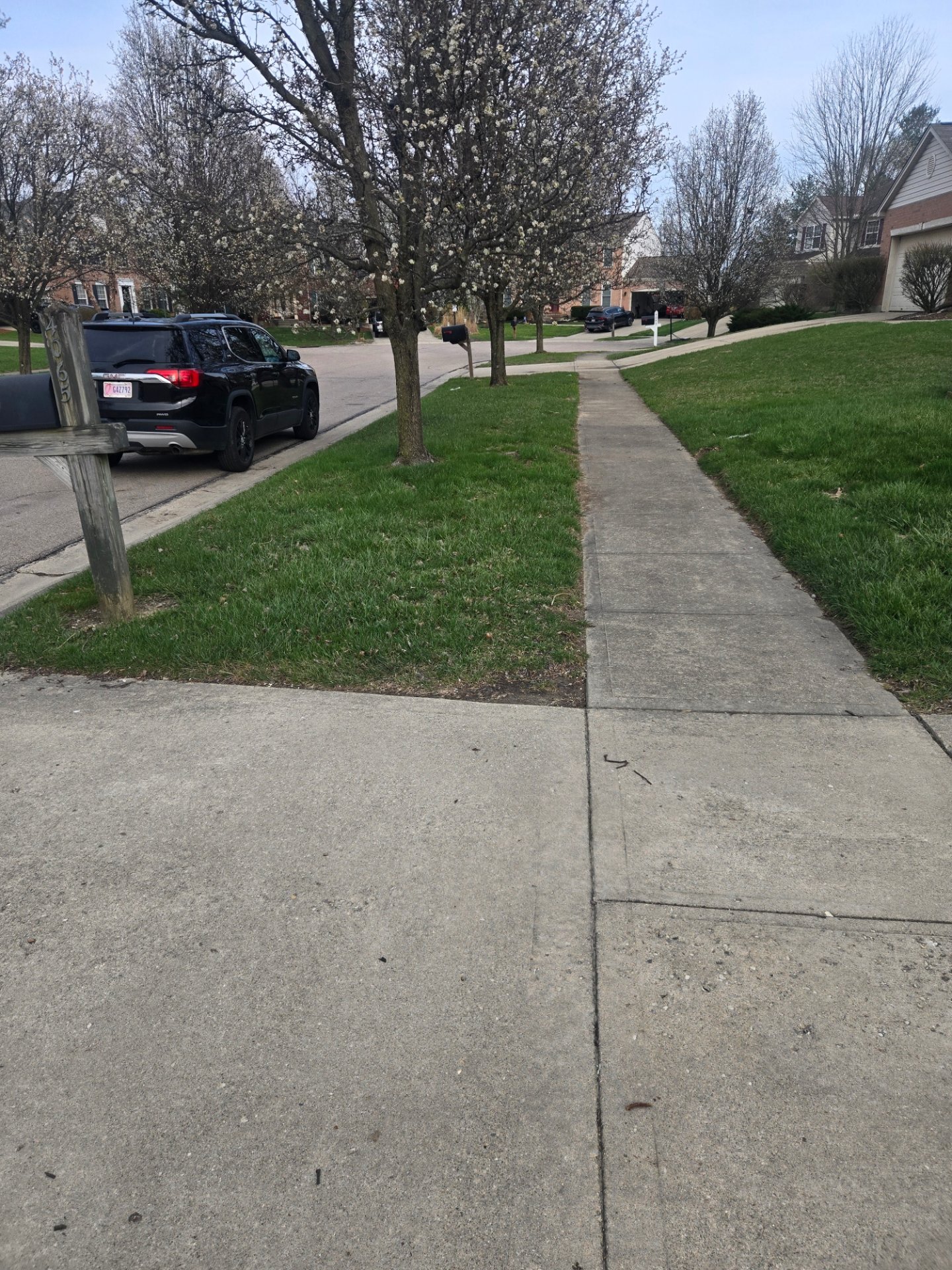 Seasonal Shine, LLC, Full Service Lawn Care in Florence, KY - photo 6