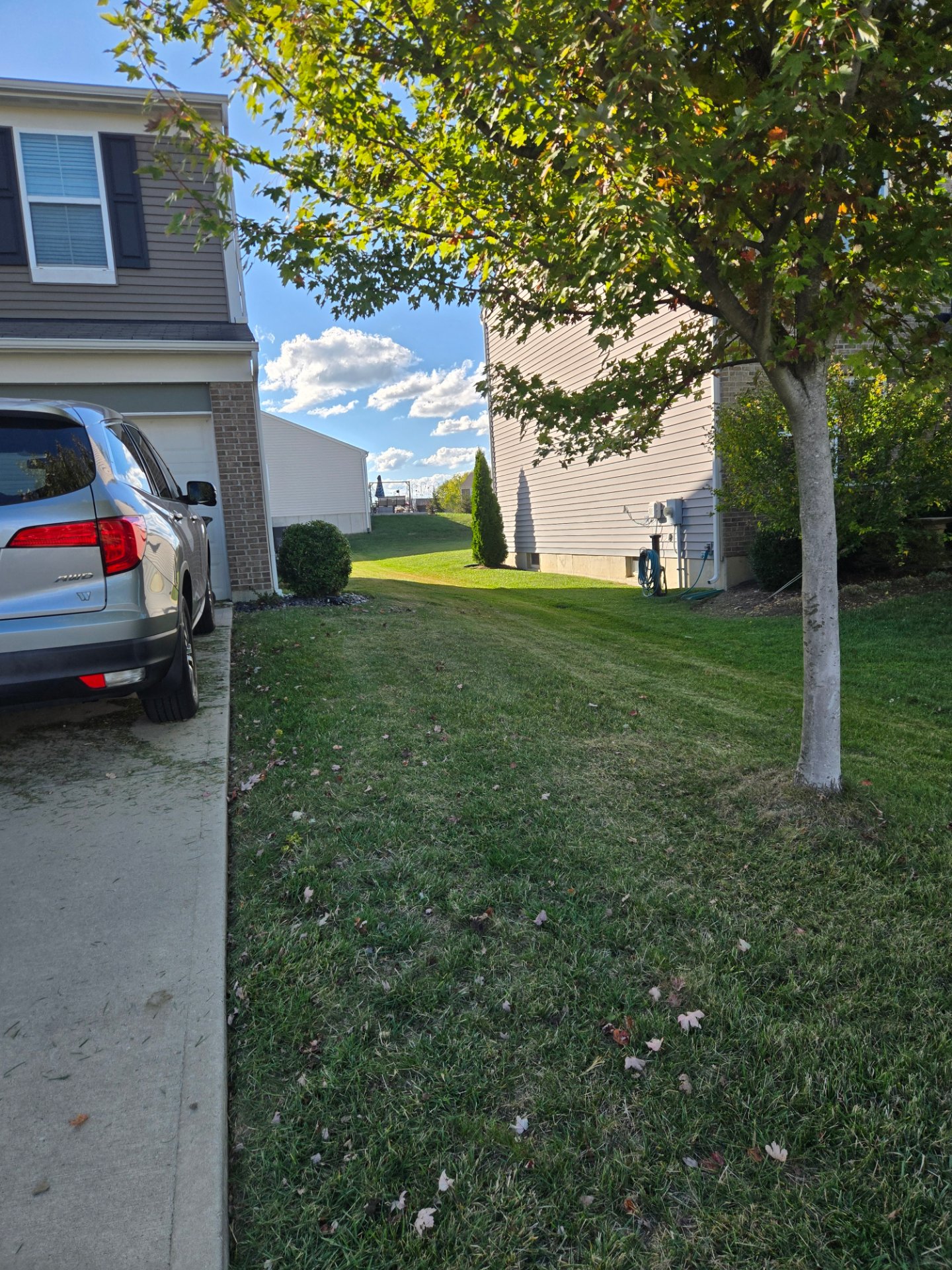 Seasonal Shine, LLC, Full Service Lawn Care in Florence, KY - photo 8